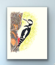 Load image into Gallery viewer, woodpecker signed limited edition giclee print by Helen Elizabeth