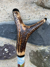 Load image into Gallery viewer, Red Grouse Hand Painted Hazel Thumbstick with Antler Handle by Helen Elizabeth
