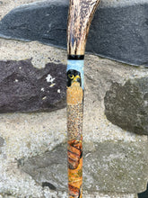 Load image into Gallery viewer, Handpainted Stag Horn Thumb Stick depicting Falcon on Glove by Helen Elizabeth Studios