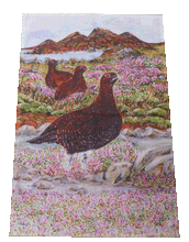 Load image into Gallery viewer, red grouse teatowel by Helen Elizabeth