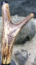 Load image into Gallery viewer, Handpainted Stag Horn Thumb Stick depicting Falcon on Glove by Helen Elizabeth Studios