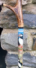 Load image into Gallery viewer, Puffins on rocks hand painted thumbstick by Helen Elizabeth