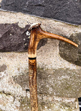 Load image into Gallery viewer, Products Hazel Wood Walking Stick with Antler Crown Handle -Helen Elizabeth Studios