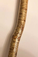 Load image into Gallery viewer, Products Hazel Wood Walking Stick with Antler Crown Handle -Helen Elizabeth Studios