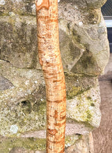 Load image into Gallery viewer, Products Hazel Wood Walking Stick with Antler Crown Handle -Helen Elizabeth Studios
