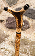 Load image into Gallery viewer, Hazel wood antler handled, handmade wooden walking sticks thumbsticks hiking sticks by Helen Elizabeth Studios
antler stag horn thumbstick walking stick by Helen Elizaabeth Studios
