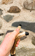 Load image into Gallery viewer,
Hazel wood antler handled, handmade wooden walking sticks thumbsticks hiking sticks by Helen Elizabeth Studios antler stag horn thumbstick walking stick by Helen Elizaabeth Studios