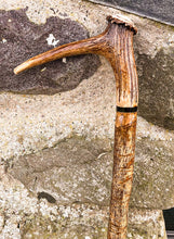 Load image into Gallery viewer, Products Hazel Wood Walking Stick with Antler Crown Handle -Helen Elizabeth Studios