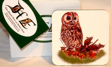 Load image into Gallery viewer, Wildlife Getting Along Collection - Owl and Mice Ceramic Mug and Coaster with Poem by Helen Elizabeth