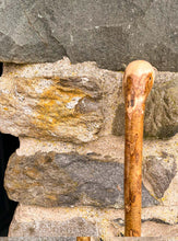 Load image into Gallery viewer, Helen Elizabeth studios Hazel Coppice Knob ball walking stick