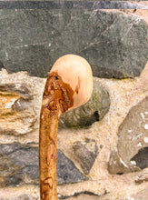 Load image into Gallery viewer, Helen Elizabeth studios Hazel Coppice Knob ball walking stick