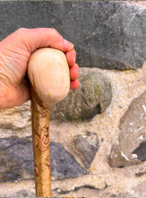 Load image into Gallery viewer, Helen Elizabeth studios Hazel Coppice Knob ball walking stick
