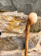 Load image into Gallery viewer, Helen Elizabeth studios Hazel Coppice Knob ball walking stick