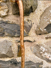 Load image into Gallery viewer, Helen Elizabeth studios Hazel Coppice Knob ball walking stick