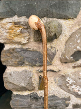 Load image into Gallery viewer, Helen Elizabeth studios Hazel Coppice Knob ball walking stick