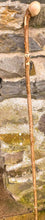 Load image into Gallery viewer, Helen Elizabeth studios Hazel Coppice Knob ball walking stick