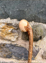 Load image into Gallery viewer, Helen Elizabeth studios Hazel Coppice Knob ball walking stick