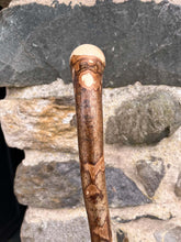Load image into Gallery viewer, Helen Elizabeth studios Hazel Coppice Knob ball walking stick