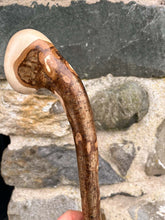 Load image into Gallery viewer, Helen Elizabeth studios Hazel Coppice Knob ball walking stick