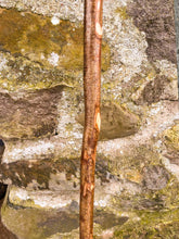 Load image into Gallery viewer, Helen Elizabeth studios Hazel Coppice Knob ball walking stick