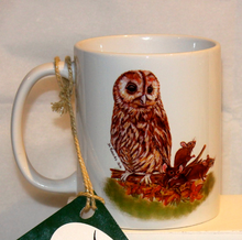 Load image into Gallery viewer, Wildlife Getting Along Collection - Owl and Mice Ceramic Mug and Coaster by Helen Elizabeth