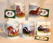 Load image into Gallery viewer, Wildlife Getting Along Collection with Poem- Gift Set by Helen Elizabeth