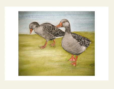 Goosey Goosey - New Signed Limited Edition Gicleé Fine Art Prints - now available