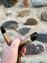 Load image into Gallery viewer, Highland Cow -  Hand Painted Hazel Antler Handle Thumbstick
