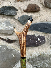 Load image into Gallery viewer, I Peacock Displaying Painted on Antler Handle Hazel Thumbstick by Helen Elizabeth Studios
