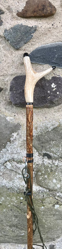 Hazel Wood Antler Handle Wading Staff Stick 