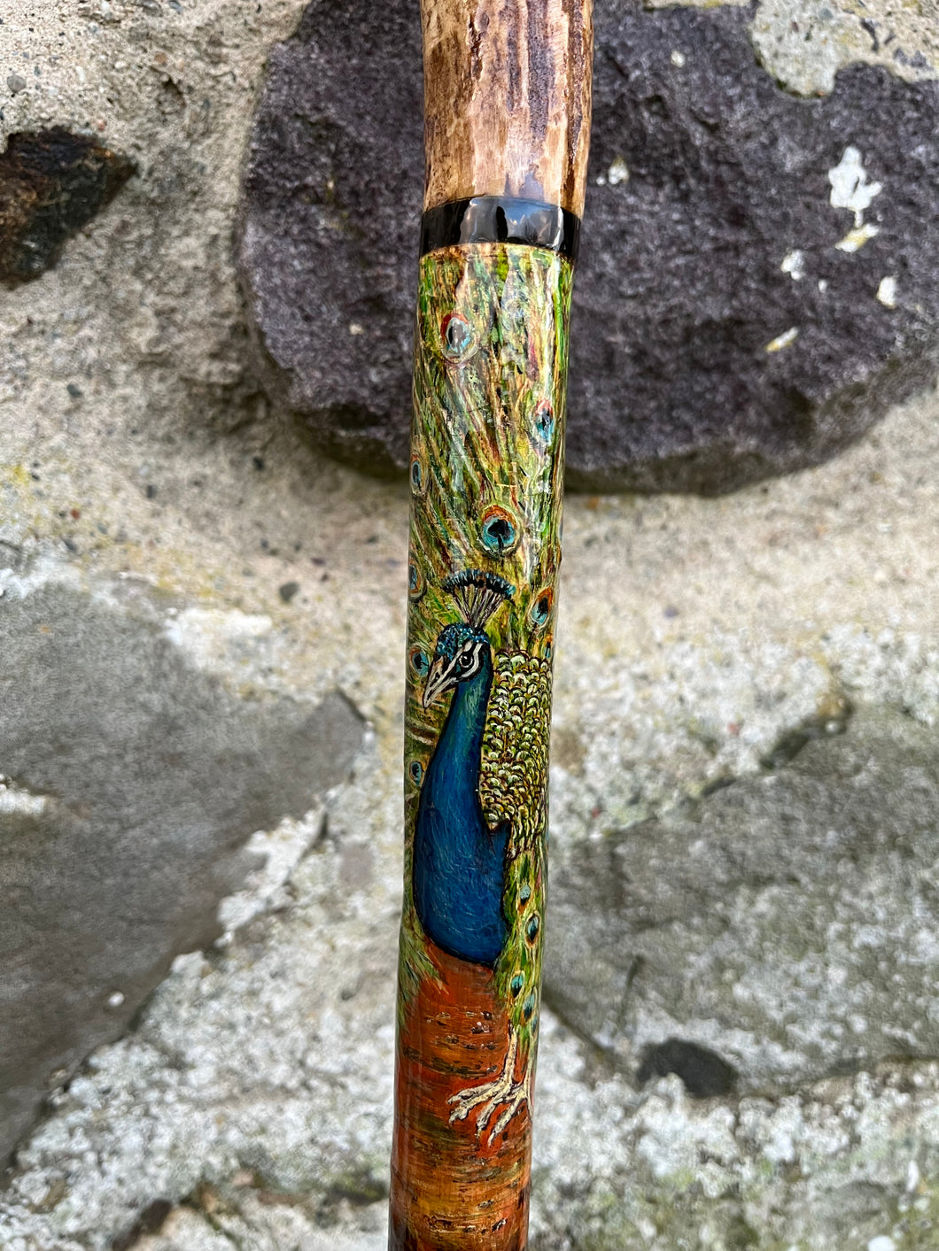 Peacock Displaying Painted on Antler Handle Hazel Thumbstick by Helen Elizabeth Studios