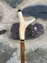 Load image into Gallery viewer, Hazel Wood Thumbstick Antler Handled Wading Staff Stick (10)
