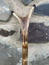 Load image into Gallery viewer, Hazel Wood Antler Handle Wading Staff Stick 
