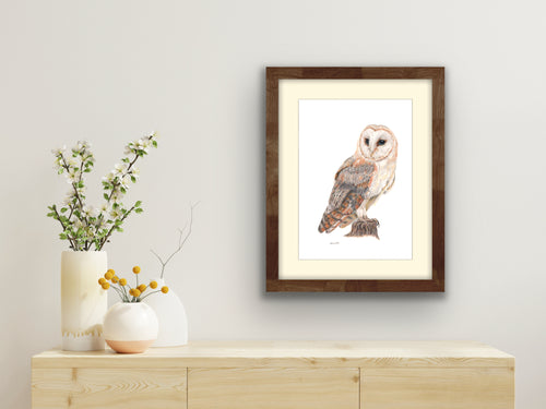 Signed Limited edition giclee print barn owl by Helen Elizabeth