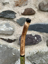 Load image into Gallery viewer, Peacock Displaying Painted on Antler Handle Hazel Thumbstick by Helen Elizabeth Studios
