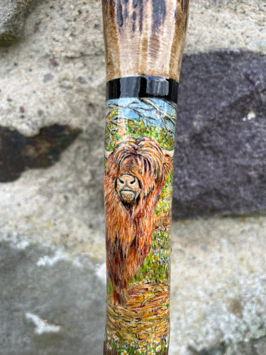 Highland cow antler topped thumbstick hand painted by Helen Elizabeth in 
