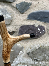 Load image into Gallery viewer, Hazel wood antler handled, handmade wooden walking sticks thumbsticks hiking sticks by Helen Elizabeth Studios
