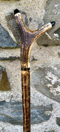 Hazel wood antler handled, handmade wooden walking sticks thumbsticks hiking sticks by Helen Elizabeth Studios

Hazel wood thumbstick Helen Elizabeth Studios 