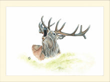 Load image into Gallery viewer, Roaring Stag - Signed Limited Edition Gicleé Fine Art Print A3 - Helen Elizabeth
