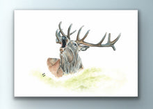 Load image into Gallery viewer, Roaring Stag - Signed Limited Edition Gicleé Fine Art Print A3 - Helen Elizabeth
