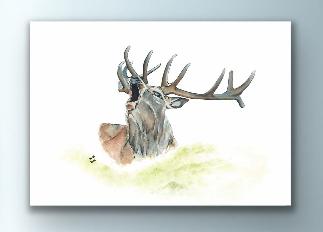 Roaring Stag - Signed Limited Edition Gicleé Fine Art Print A3 - Helen Elizabeth