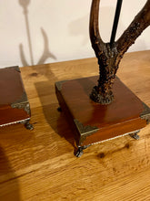 Load image into Gallery viewer, A Pair of Rustic Roe Deer Stag Antler Candlestick Holders  - Pair (#10)
