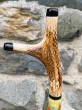 Load image into Gallery viewer, Goldfinches on Thistle- Hand Painted Hazel Thumbstick with Antler Handle on
