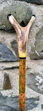 Load image into Gallery viewer, red stag grouse salmon antler hazel country thumbstick by Helen Elizabeth
