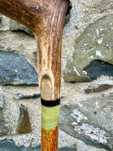 Load image into Gallery viewer, Springer Spaniel Hazel country whistle stick -Helen Elizabeth Studios 

