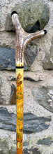 Load image into Gallery viewer, Falcon on Glove Desert Scene with Saluki Dog  - Antler handled Hazel Country Thumbstick/hiking/walking stick by Helen Elizabeth
