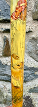 Load image into Gallery viewer, Falcon on Glove Desert Scene with Saluki Dog  - Antler handled Hazel Country Thumbstick/hiking/walking stick by Helen Elizabeth

