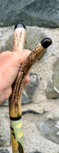 Load image into Gallery viewer, Falcon on Glove Desert Scene - Antler handled Hazel Country Thumbstick/hiking/walking stick by Helen Elizabeth
