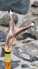 Load image into Gallery viewer, Camels in desert antler handled hazel country thumbstick by Helen Elizabeth
