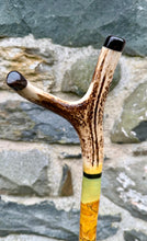 Load image into Gallery viewer, Camels in desert antler handled hazel country thumbstick by Helen Elizabeth
